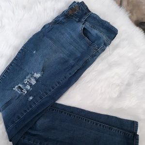 YMI Distressed Jeans